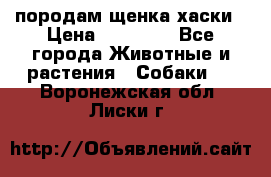 породам щенка хаски › Цена ­ 10 000 - Все города Животные и растения » Собаки   . Воронежская обл.,Лиски г.